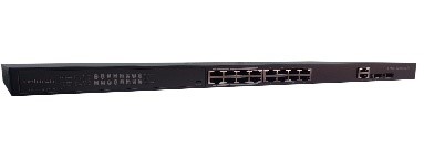 SW3017G-1GP1GC-P